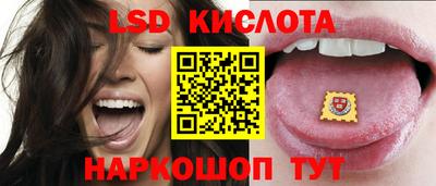 тгк Кингисепп
