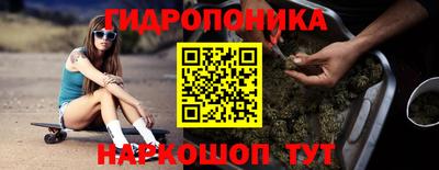apvp Кохма