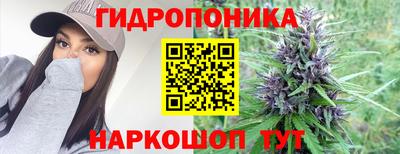 тгк Кингисепп