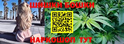 тгк Кингисепп