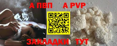 тгк Кингисепп