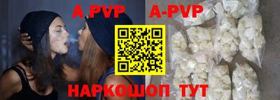 тгк Кингисепп