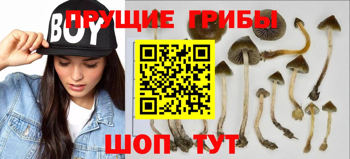 купить  сайты  Галлюциногенные грибы мухоморы  Вход с VPN  Орехово-Зуево 